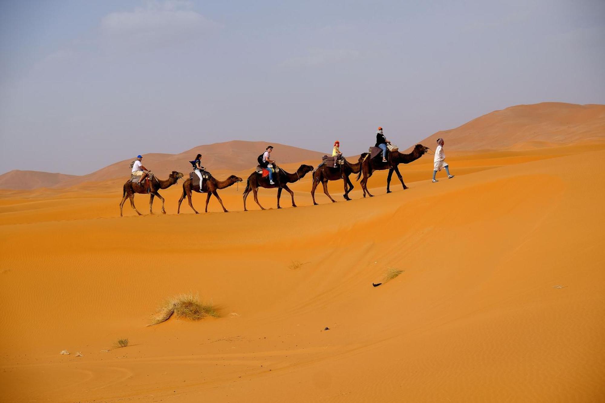 Merzouga Luxury Traditional Camp Extérieur photo